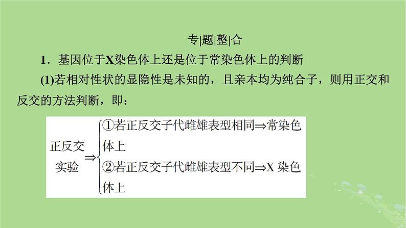 2025版高考生物一轮总复习必修2微专题6基因位置的判断课件第2页