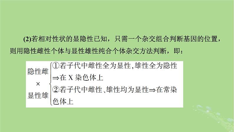 2025版高考生物一轮总复习必修2微专题6基因位置的判断课件第3页