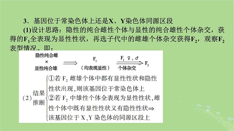 2025版高考生物一轮总复习必修2微专题6基因位置的判断课件第6页