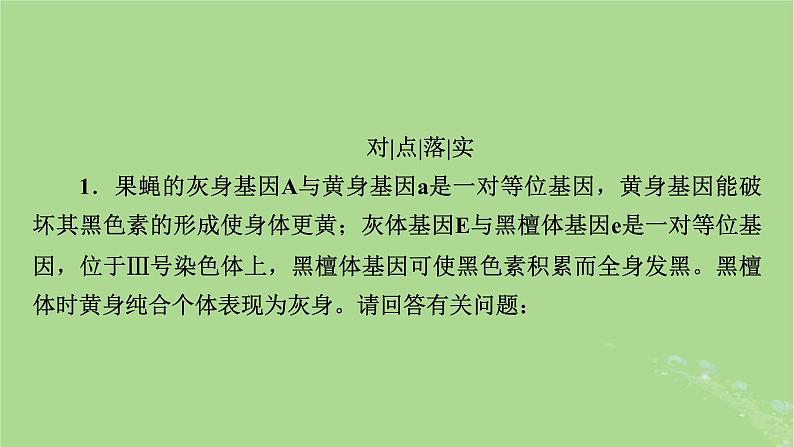 2025版高考生物一轮总复习必修2微专题6基因位置的判断课件第7页