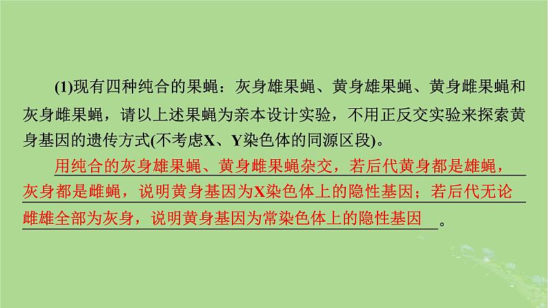 2025版高考生物一轮总复习必修2微专题6基因位置的判断课件第8页