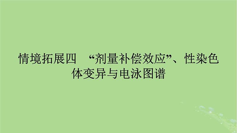 2025版高考生物一轮总复习必修2情境拓展4“剂量补偿效应”性染色体变异与电泳图谱课件第1页