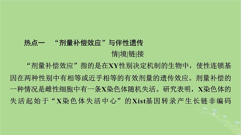 2025版高考生物一轮总复习必修2情境拓展4“剂量补偿效应”性染色体变异与电泳图谱课件第2页