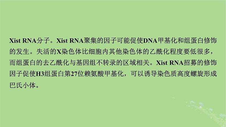 2025版高考生物一轮总复习必修2情境拓展4“剂量补偿效应”性染色体变异与电泳图谱课件第3页