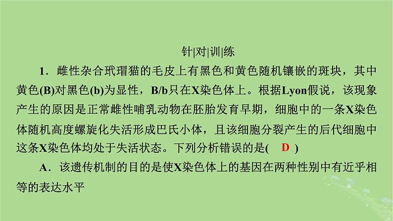 2025版高考生物一轮总复习必修2情境拓展4“剂量补偿效应”性染色体变异与电泳图谱课件第5页