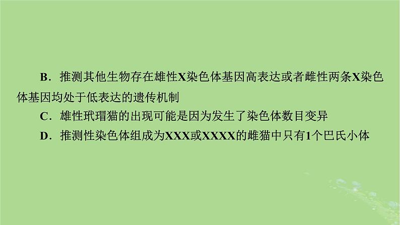 2025版高考生物一轮总复习必修2情境拓展4“剂量补偿效应”性染色体变异与电泳图谱课件第6页