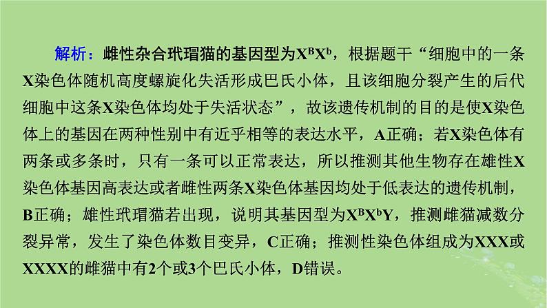 2025版高考生物一轮总复习必修2情境拓展4“剂量补偿效应”性染色体变异与电泳图谱课件第7页