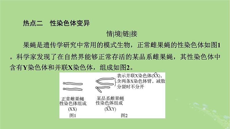 2025版高考生物一轮总复习必修2情境拓展4“剂量补偿效应”性染色体变异与电泳图谱课件第8页