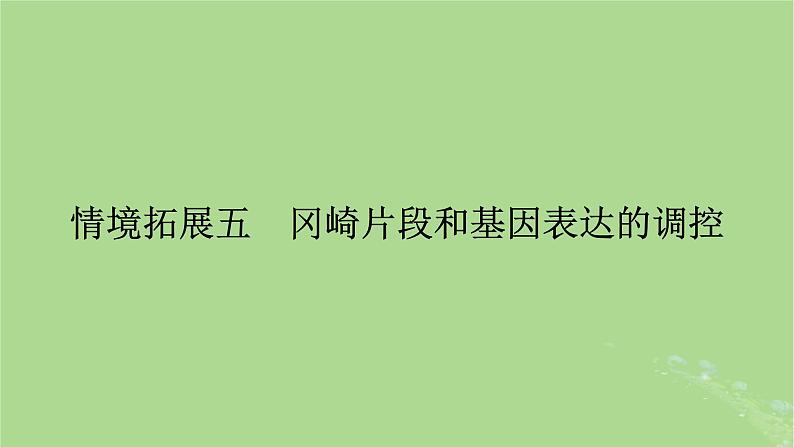 2025版高考生物一轮总复习必修2情境拓展5冈崎片段和基因表达的调控课件第1页