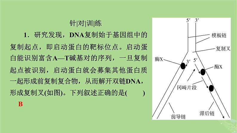 2025版高考生物一轮总复习必修2情境拓展5冈崎片段和基因表达的调控课件第4页