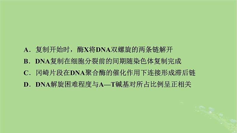 2025版高考生物一轮总复习必修2情境拓展5冈崎片段和基因表达的调控课件第5页