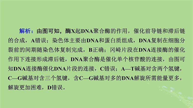 2025版高考生物一轮总复习必修2情境拓展5冈崎片段和基因表达的调控课件第6页