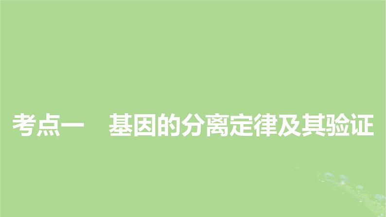 2025版高考生物一轮总复习必修2第5单元孟德尔定律和伴性遗传第1讲基因的分离定律课件03