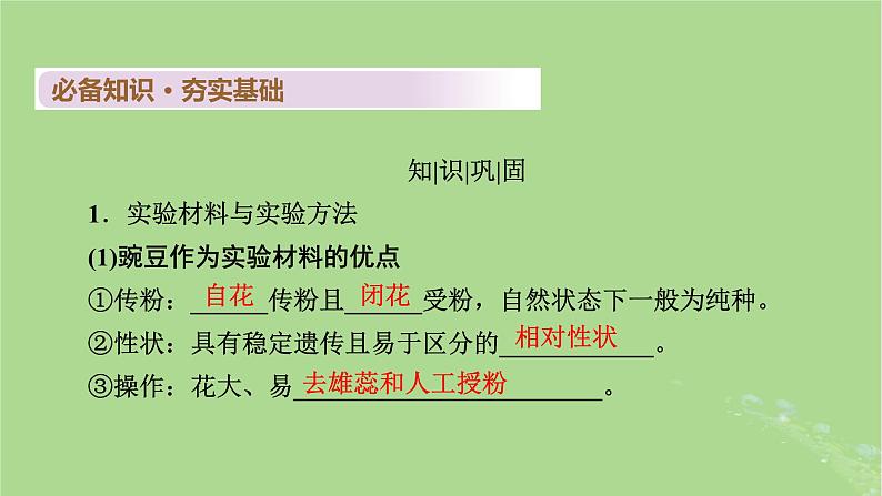 2025版高考生物一轮总复习必修2第5单元孟德尔定律和伴性遗传第1讲基因的分离定律课件04