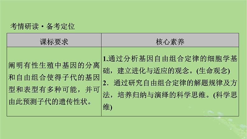 2025版高考生物一轮总复习必修2第5单元孟德尔定律和伴性遗传第2讲基因的自由组合定律课件第2页