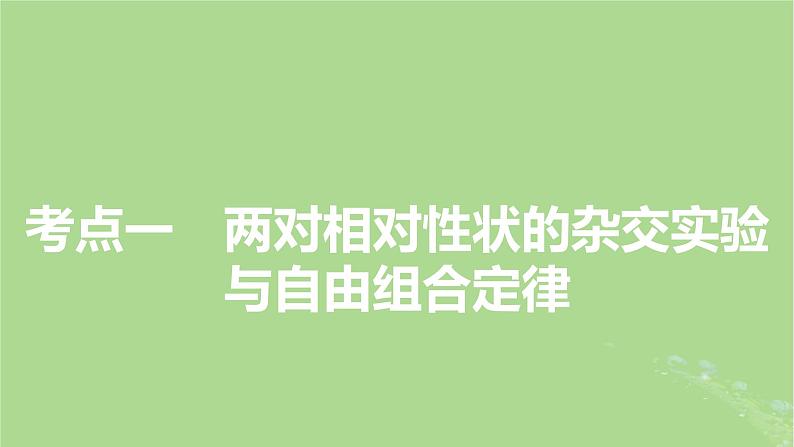 2025版高考生物一轮总复习必修2第5单元孟德尔定律和伴性遗传第2讲基因的自由组合定律课件第3页