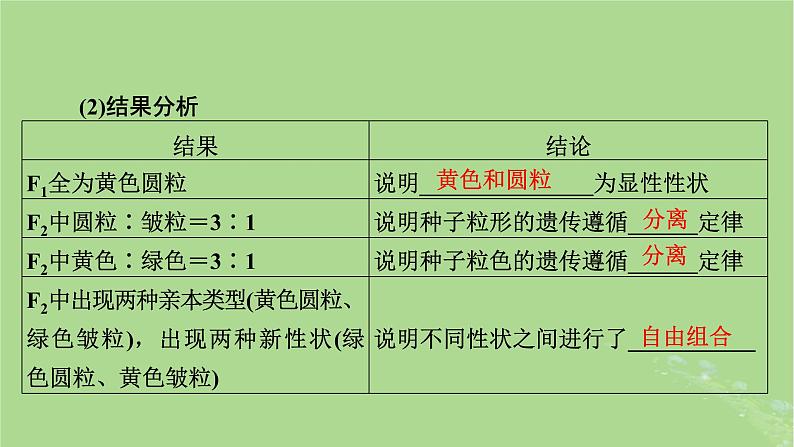 2025版高考生物一轮总复习必修2第5单元孟德尔定律和伴性遗传第2讲基因的自由组合定律课件第5页