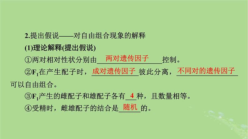 2025版高考生物一轮总复习必修2第5单元孟德尔定律和伴性遗传第2讲基因的自由组合定律课件第6页