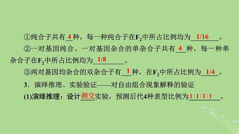 2025版高考生物一轮总复习必修2第5单元孟德尔定律和伴性遗传第2讲基因的自由组合定律课件第8页