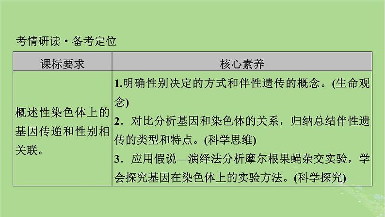 2025版高考生物一轮总复习必修2第5单元孟德尔定律和伴性遗传第3讲伴性遗传课件第2页