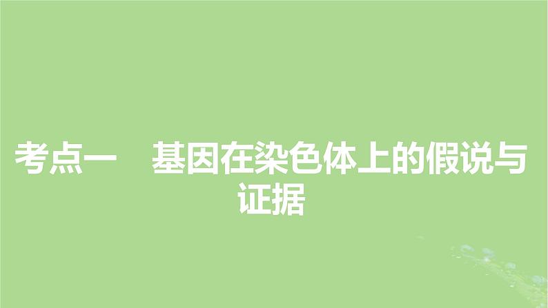 2025版高考生物一轮总复习必修2第5单元孟德尔定律和伴性遗传第3讲伴性遗传课件第3页