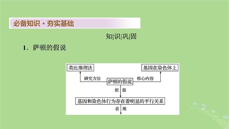 2025版高考生物一轮总复习必修2第5单元孟德尔定律和伴性遗传第3讲伴性遗传课件第4页