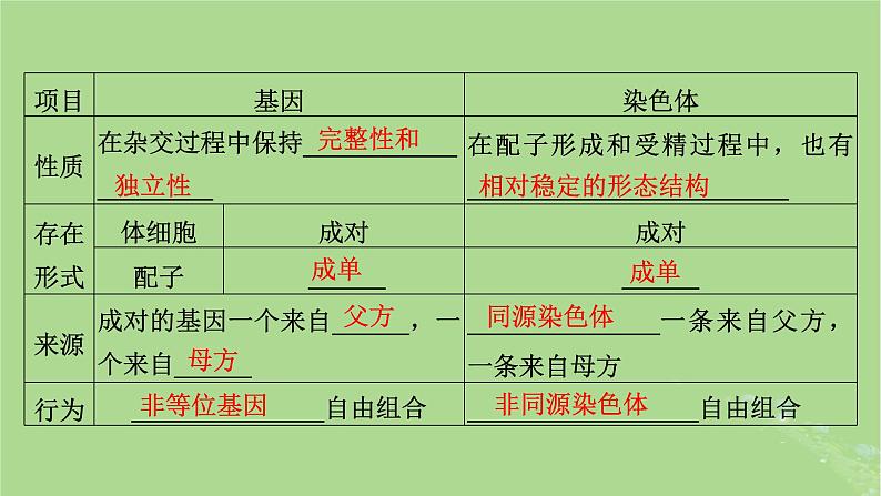 2025版高考生物一轮总复习必修2第5单元孟德尔定律和伴性遗传第3讲伴性遗传课件第5页