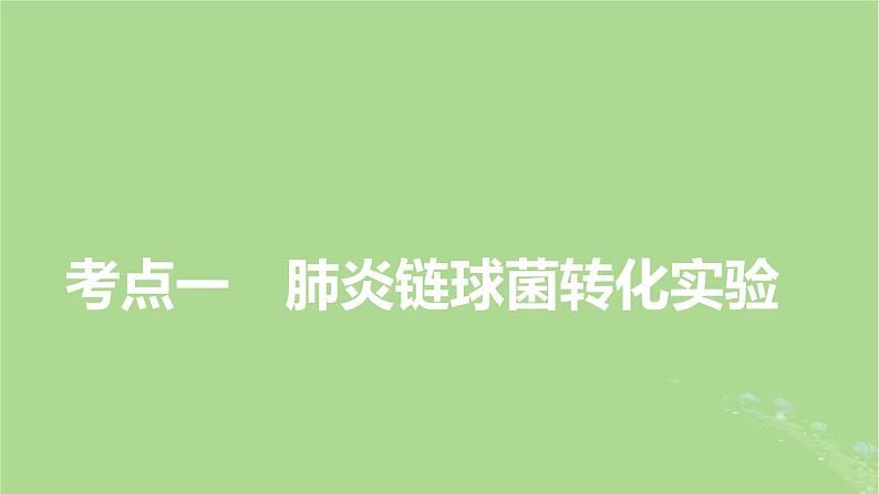 2025版高考生物一轮总复习必修2第6单元遗传的分子基础第1讲DNA是主要的遗传物质课件第3页