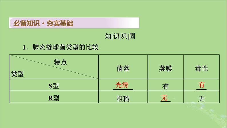 2025版高考生物一轮总复习必修2第6单元遗传的分子基础第1讲DNA是主要的遗传物质课件第4页