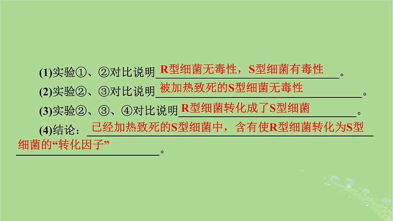 2025版高考生物一轮总复习必修2第6单元遗传的分子基础第1讲DNA是主要的遗传物质课件第6页