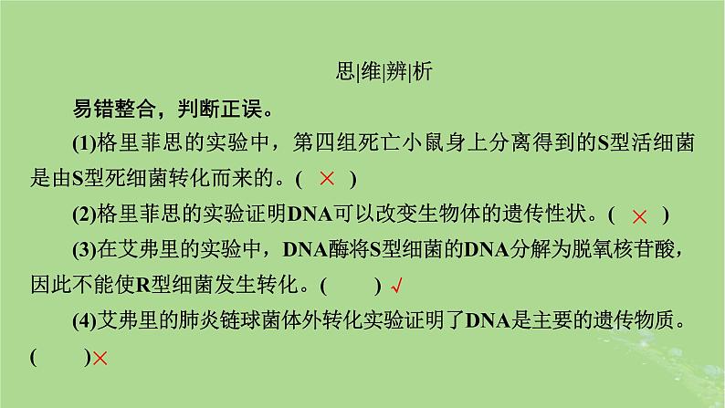 2025版高考生物一轮总复习必修2第6单元遗传的分子基础第1讲DNA是主要的遗传物质课件第8页