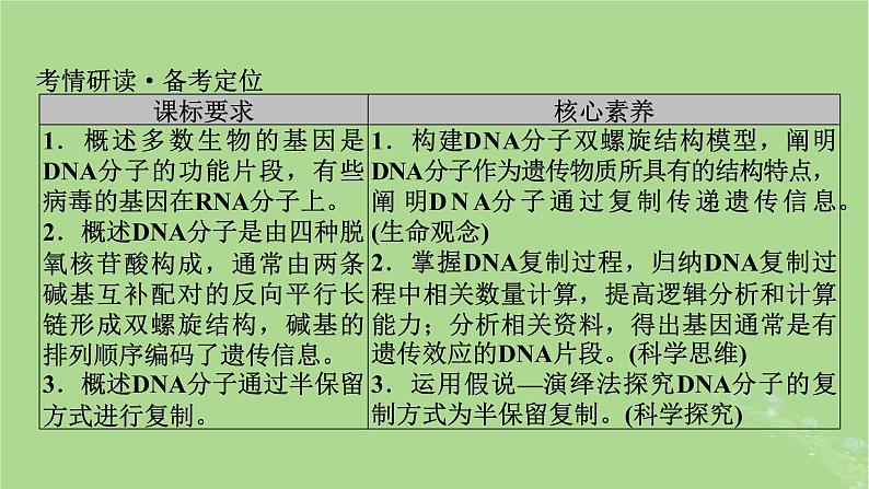 2025版高考生物一轮总复习必修2第6单元遗传的分子基础第2讲DNA分子的结构复制与基因的本质课件第2页