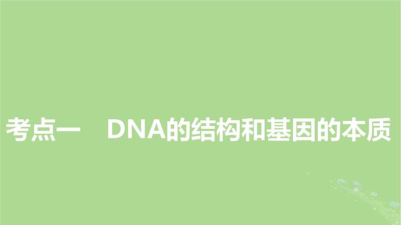 2025版高考生物一轮总复习必修2第6单元遗传的分子基础第2讲DNA分子的结构复制与基因的本质课件第3页