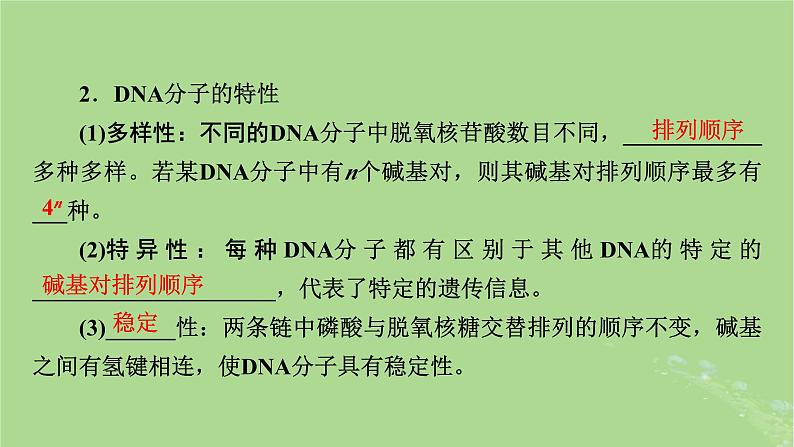 2025版高考生物一轮总复习必修2第6单元遗传的分子基础第2讲DNA分子的结构复制与基因的本质课件第7页