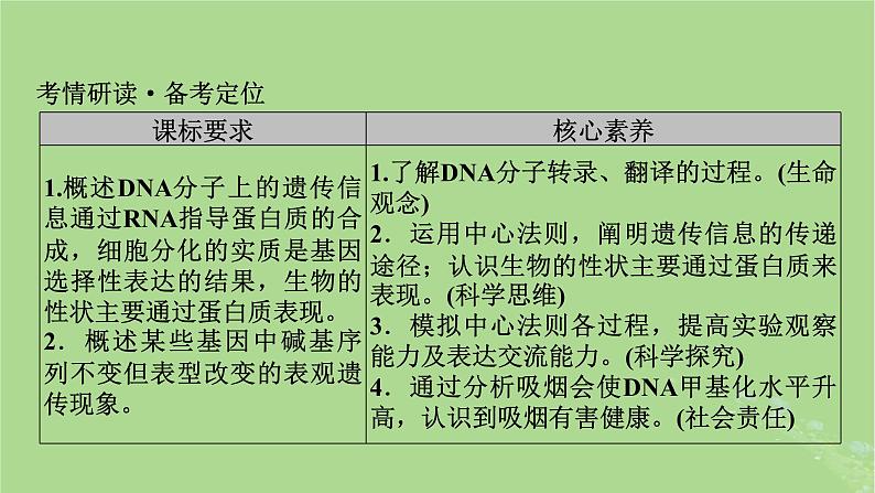 2025版高考生物一轮总复习必修2第6单元遗传的分子基础第3讲基因的表达课件第2页