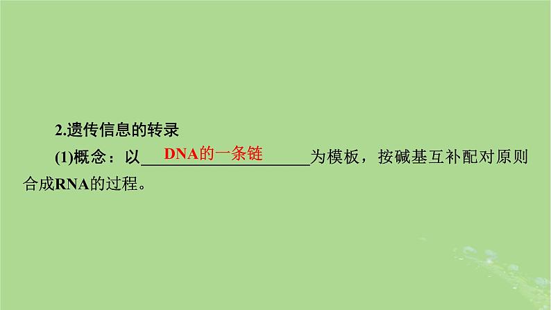 2025版高考生物一轮总复习必修2第6单元遗传的分子基础第3讲基因的表达课件第7页