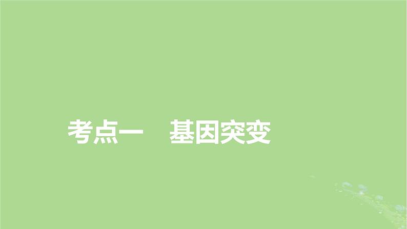 2025版高考生物一轮总复习必修2第7单元生物的变异育种与进化第1讲基因突变和基因重组课件第3页