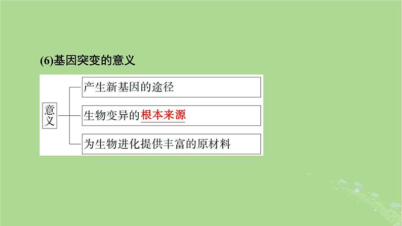 2025版高考生物一轮总复习必修2第7单元生物的变异育种与进化第1讲基因突变和基因重组课件第8页