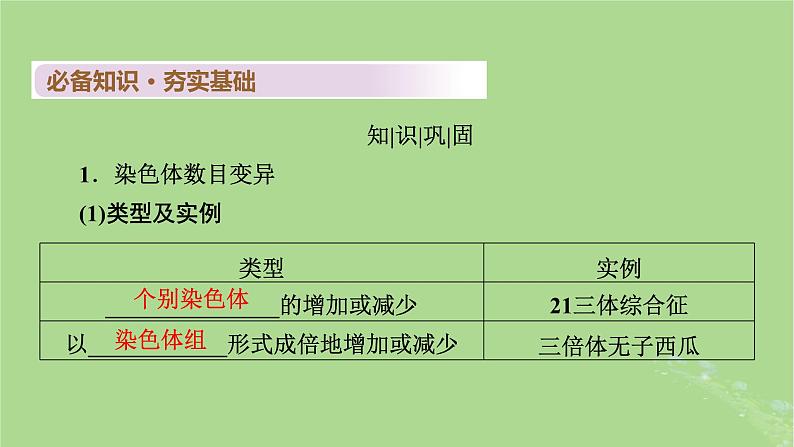 2025版高考生物一轮总复习必修2第7单元生物的变异育种与进化第2讲染色体变异及其应用课件第4页