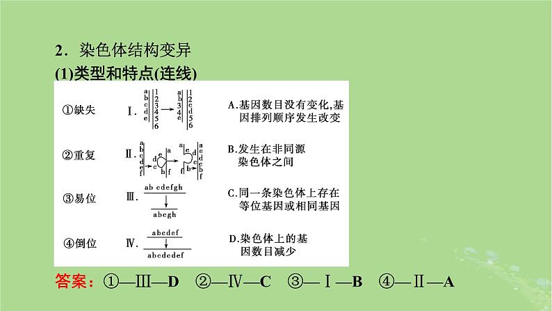 2025版高考生物一轮总复习必修2第7单元生物的变异育种与进化第2讲染色体变异及其应用课件第6页