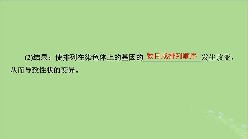 2025版高考生物一轮总复习必修2第7单元生物的变异育种与进化第2讲染色体变异及其应用课件第7页