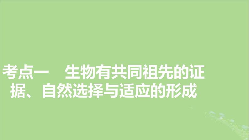 2025版高考生物一轮总复习必修2第7单元生物的变异育种与进化第3讲生物的进化课件第3页