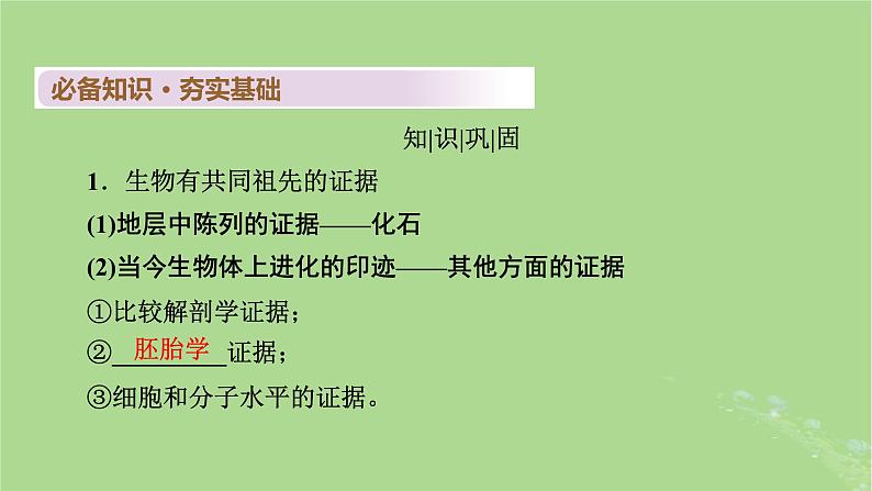 2025版高考生物一轮总复习必修2第7单元生物的变异育种与进化第3讲生物的进化课件第4页