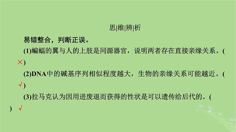 2025版高考生物一轮总复习必修2第7单元生物的变异育种与进化第3讲生物的进化课件第8页