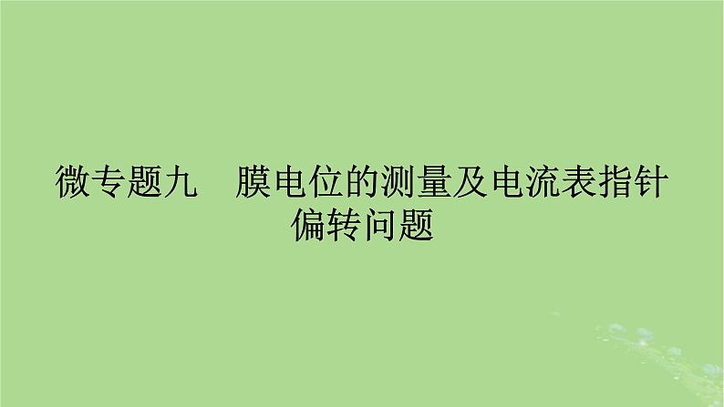 2025版高考生物一轮总复习选择性必修1微专题9膜电位的测量及电流表指针偏转问题课件第1页