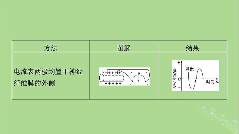 2025版高考生物一轮总复习选择性必修1微专题9膜电位的测量及电流表指针偏转问题课件第3页