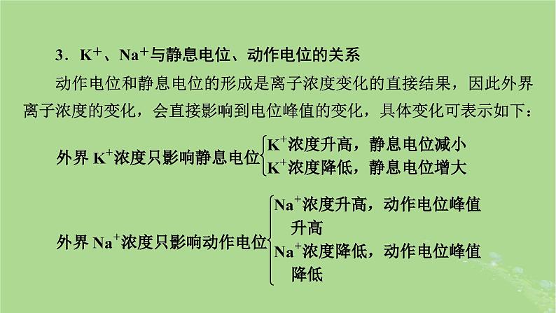 2025版高考生物一轮总复习选择性必修1微专题9膜电位的测量及电流表指针偏转问题课件第5页