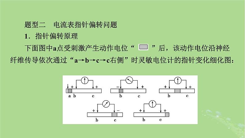 2025版高考生物一轮总复习选择性必修1微专题9膜电位的测量及电流表指针偏转问题课件第6页