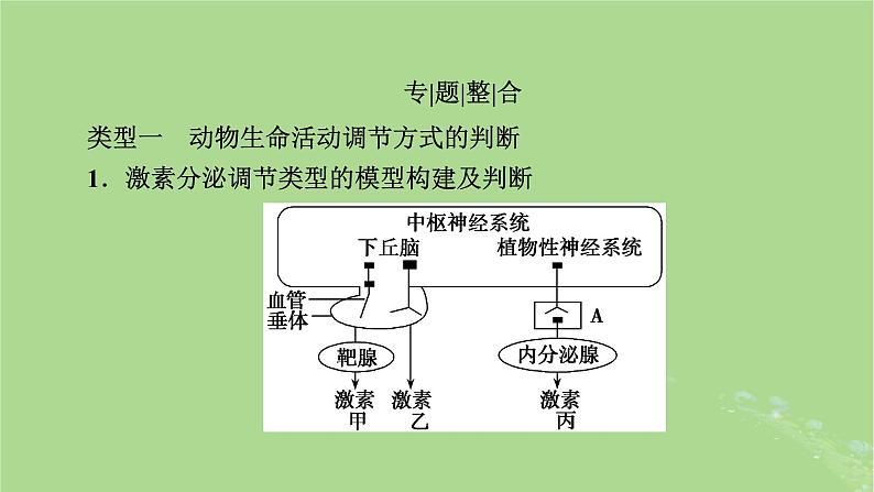 2025版高考生物一轮总复习选择性必修1微专题10生命活动调节方式的判断与分析课件第2页