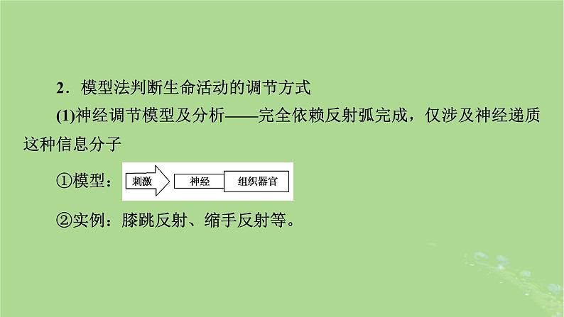 2025版高考生物一轮总复习选择性必修1微专题10生命活动调节方式的判断与分析课件第4页